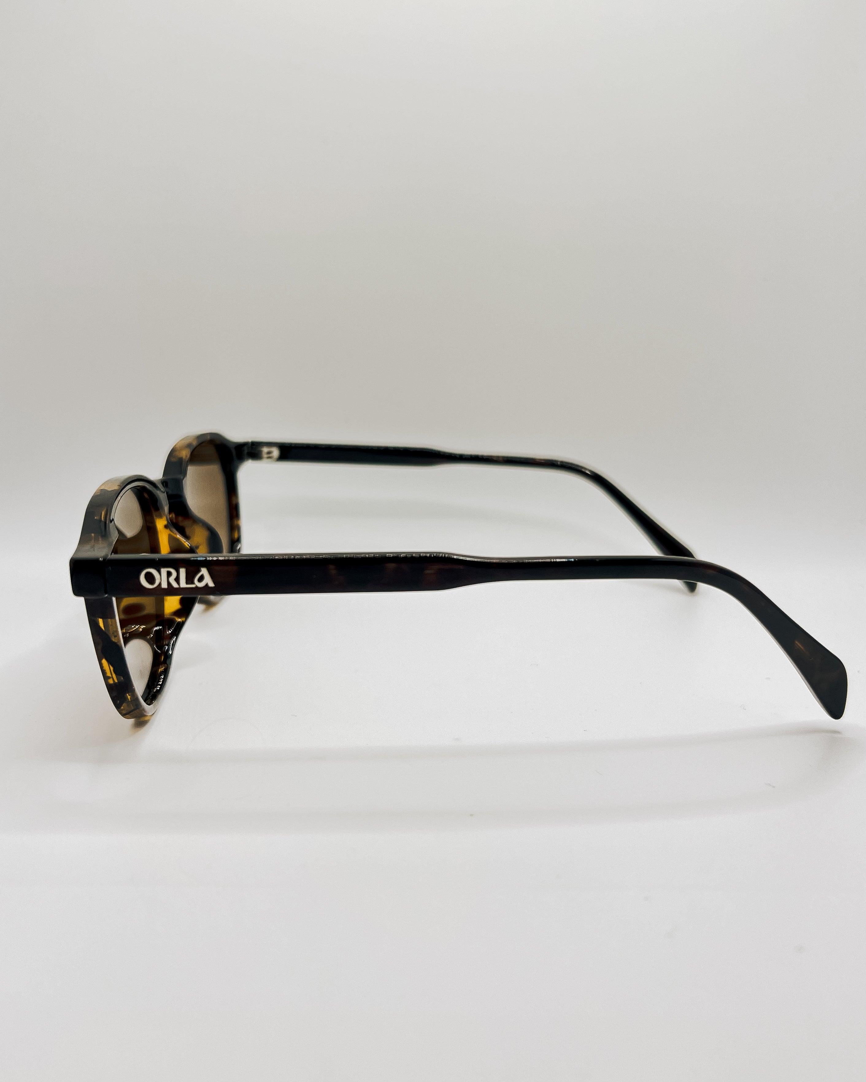 Moreses - Tartaruga - Orla Sunglasses